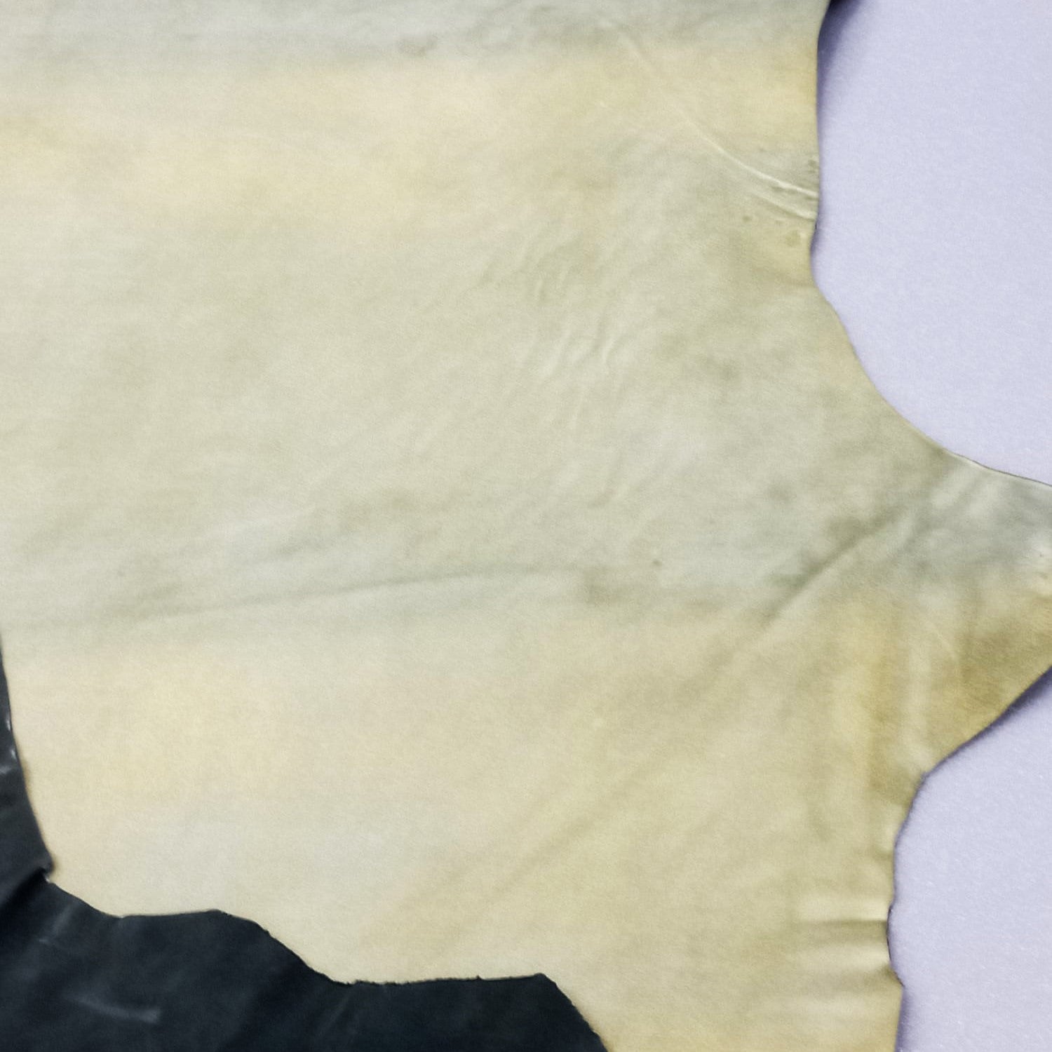 Curtido de cabra semi engrasada