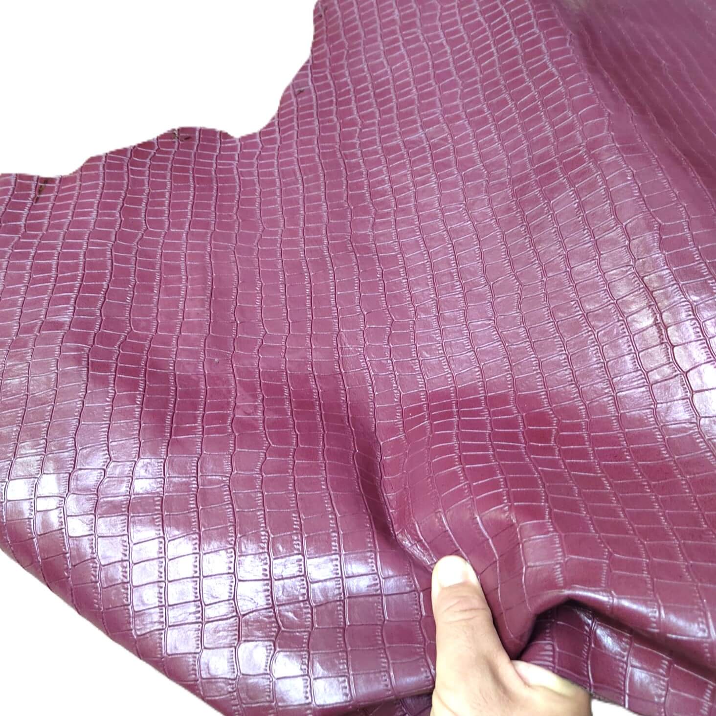 Cuero de Gran Calidad de Fornituras Caus - ¡Hasta Fin de Existencias!