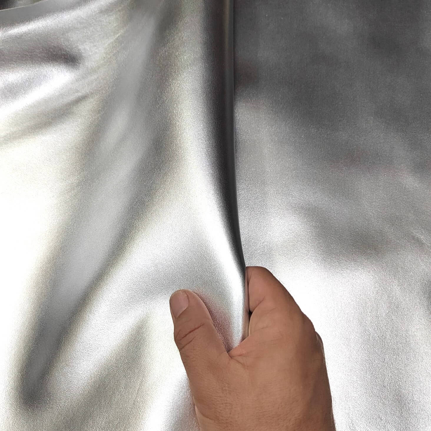 Piel de cabra plateada de gran Nobleza.