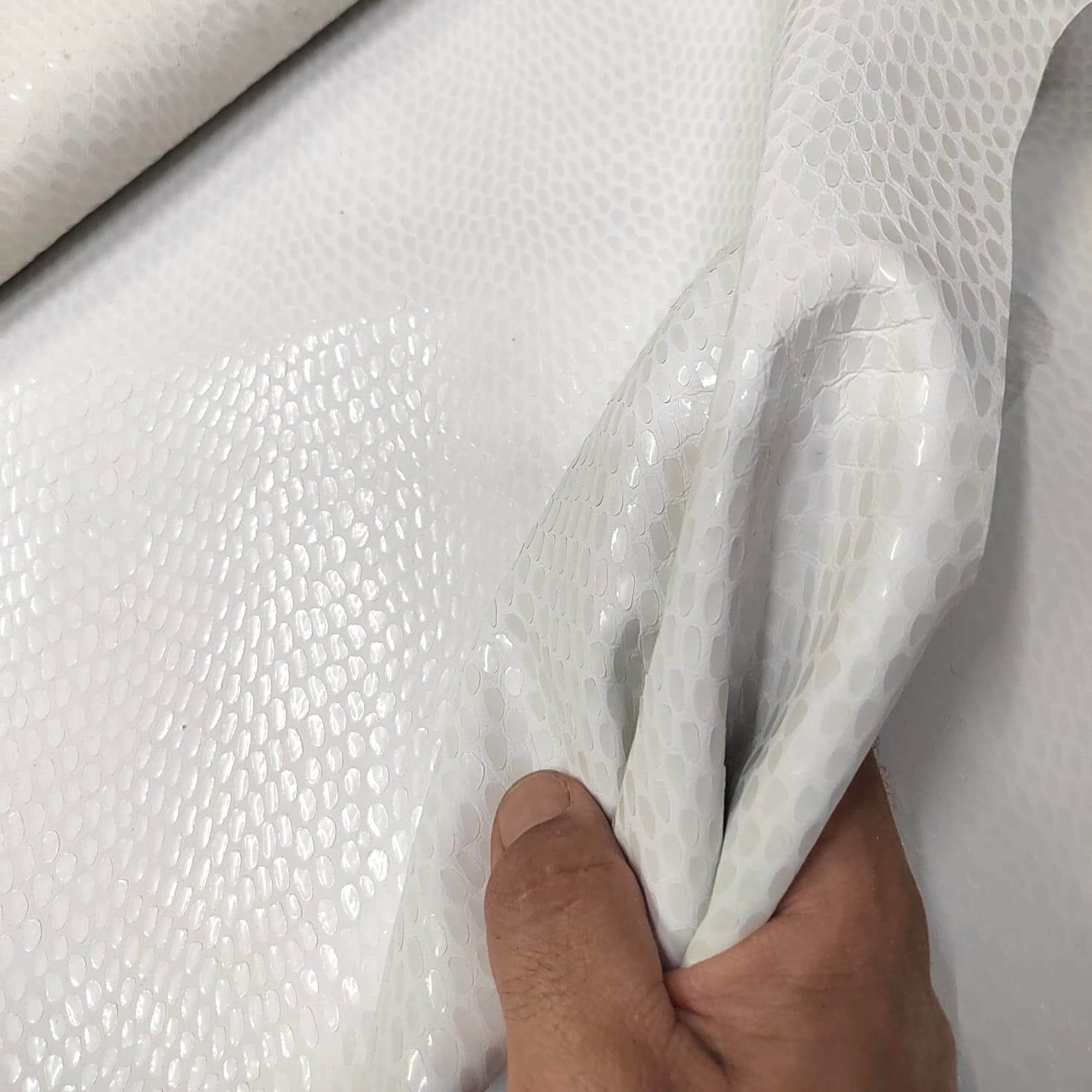 Oferta especial en cuero de cabra en color Blanco Roto Estampado: Elegancia y Distinción para tus Manualidades