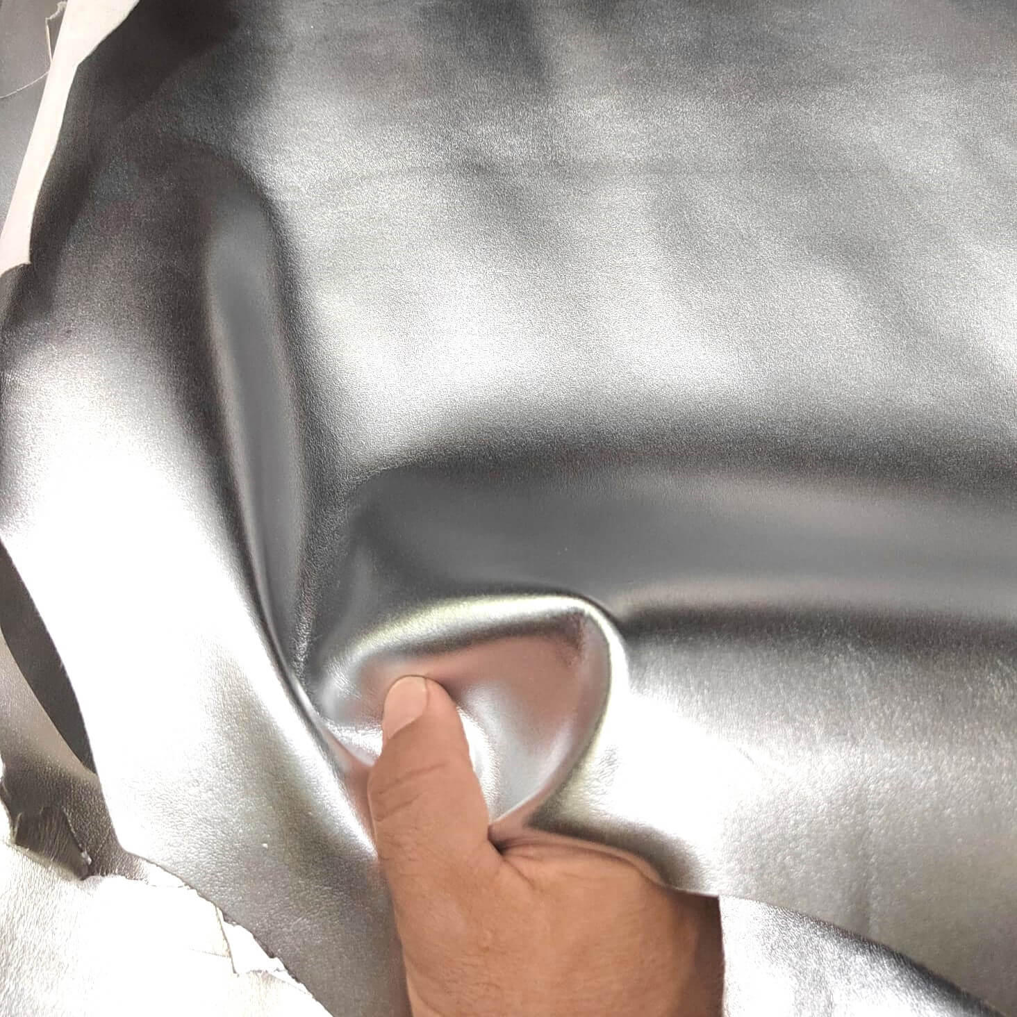 Piel de cabra plateada de gran Nobleza.